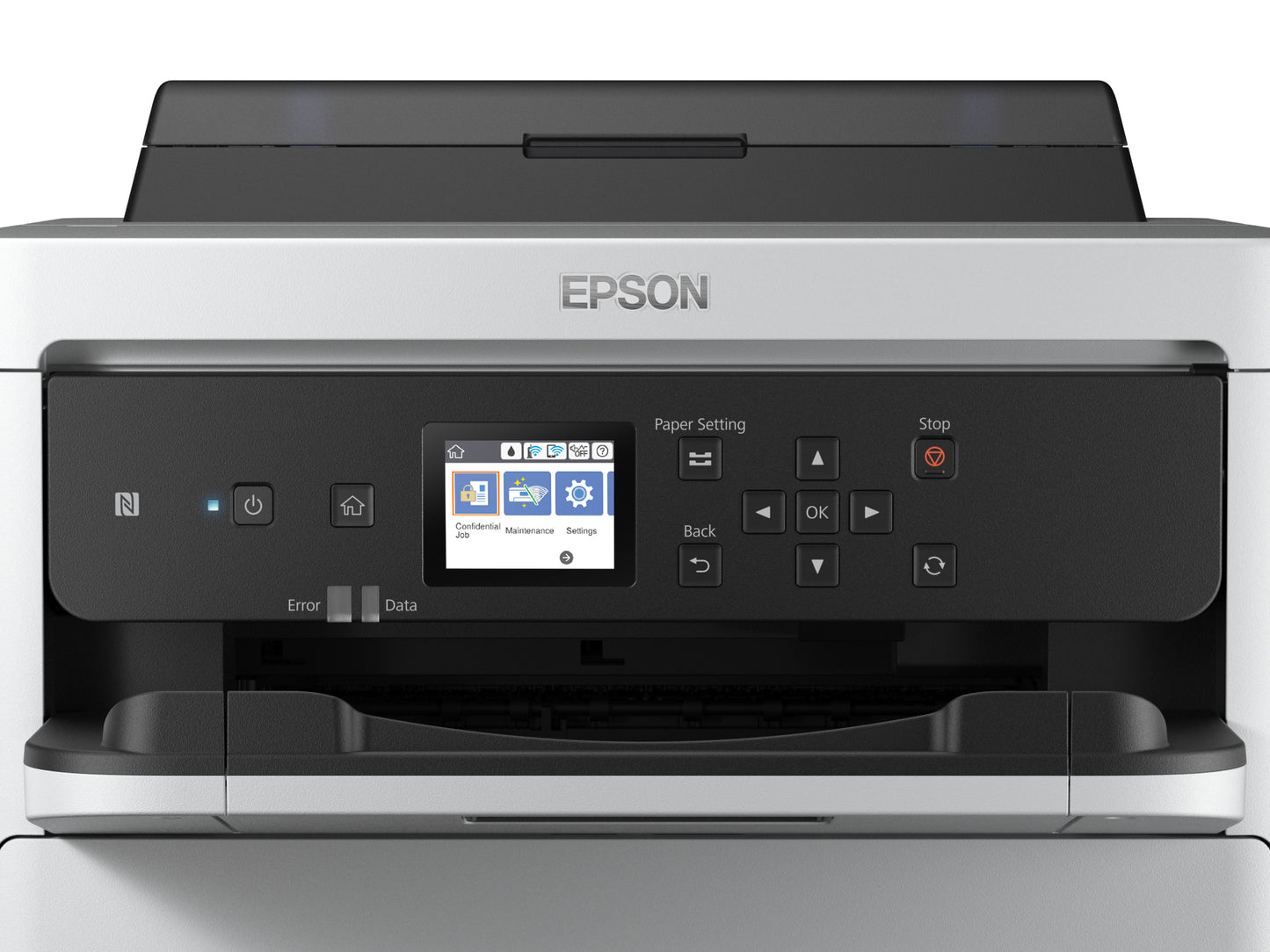Tinta Magenta Epson T01C300 | 5,000 Páginas, Compatible WF-PRO C579r