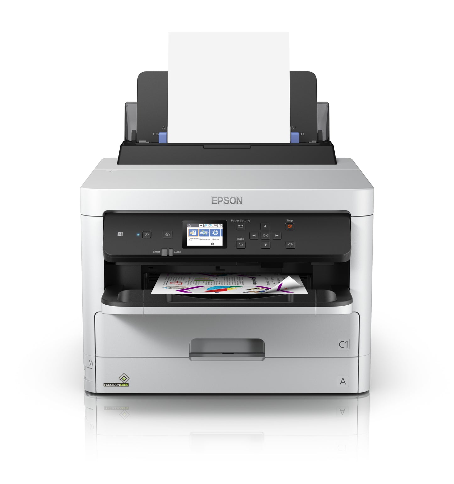 Bolsa de Tinta Negra Epson T01D100 | 50,000 Páginas, Compatible WF-PRO C579r