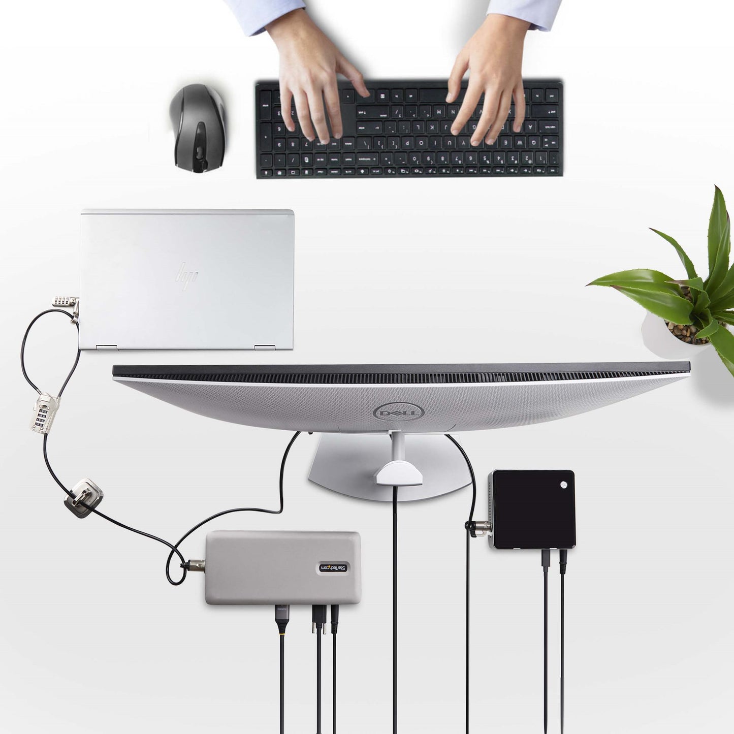 Startech.com Juego de Candado para Computadora y Periféricos - Cable de 3m de Acero - Candado Antirrobo - K-SLOT - para 3 Dispositivos - 2.99m Cable - Reiniciable - 4-dígitos - Cerradura de