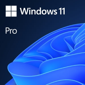 Windows Server Standard 2022 | 64 Bit, Incluye DVD OEM